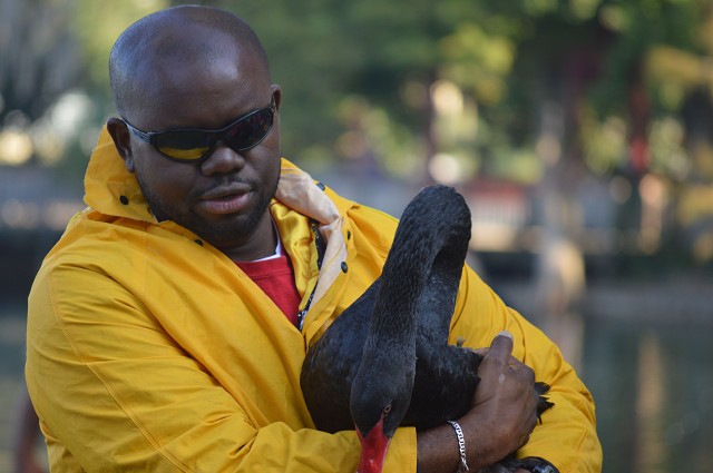 OKFC 7th Annual Swan Round-up (2014) - Yellow (Orlando, FL, USA)