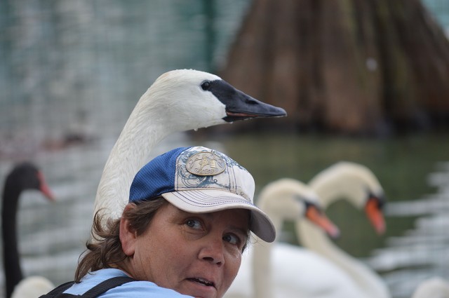 Waiting To Be Treated (Orlando, FL)